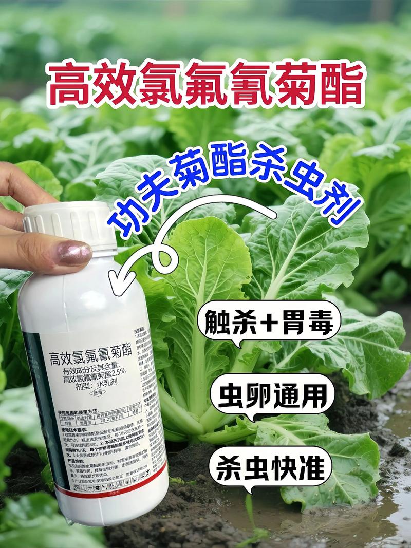 攀枝花代生中心:农药对供卵代生妈妈的危害